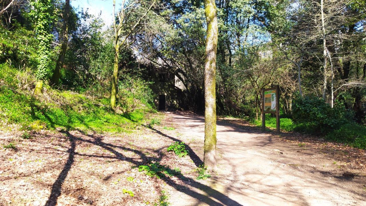 Вилла Wasi Compostela Сантьяго-де-Компостела Экстерьер фото